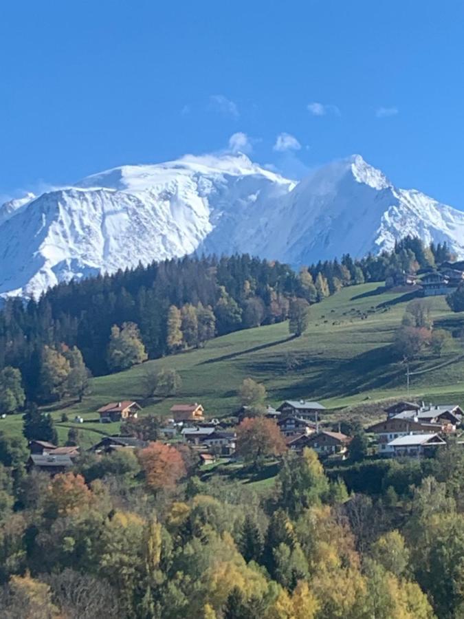 Chalet Mont Blanc Combloux Exteriér fotografie